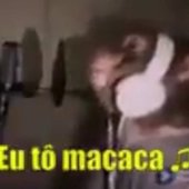 MAKAKA NO ESTÚDIO