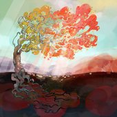 Roots & Reality