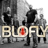 Blofly