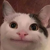 Erkenim 的头像