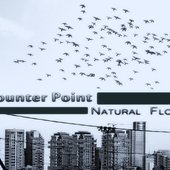 Counter Point - Natural Flow
