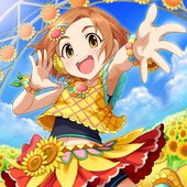 サンフラワーイエロー＋.jpg