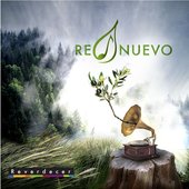 Reverdecer