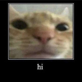 Avatar di nathanZ12