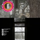 live @ freezing dojo