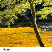 Hazu