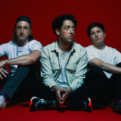 the wombats