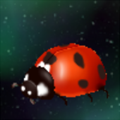 Avatar for spaceladybug