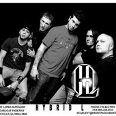 Hybrid L
