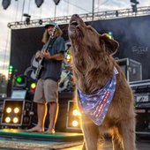 Cocoa singing along