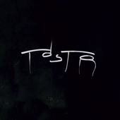 tdstr logo whiteboard ver.png