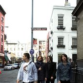 The Monkeys in the streets of NY