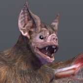 EpjYeoaa_400x400.jpg