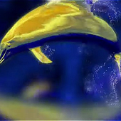 Avatar for hermesacosta