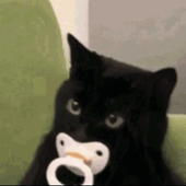 zabellasmells 的头像