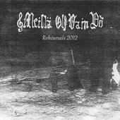 Rehearsals 2012