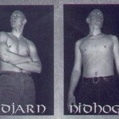 Ildjarn-Nidhogg_2287853-290x221.jpg