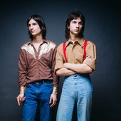 the lemon twigs