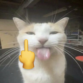 Hondayks_ 的头像
