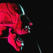 Temporary Flesh