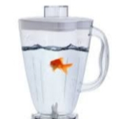 Fish_inAblender 的头像