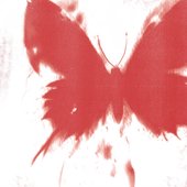WHERE DID ALL THE BUTTERFLIES GO?