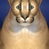 Avatar di Adrtavo