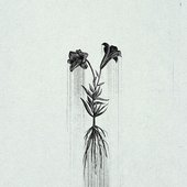 A Requiem: Æternum