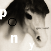 Ginuwine - Pony