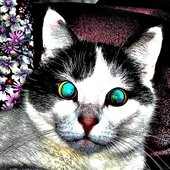 Avatar for kerttulintu