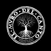 Il Muro Del Canto