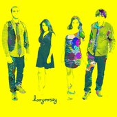 hooyoosay - retro pop rock