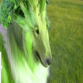 Avatar for slurms5
