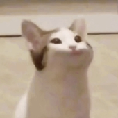 gentrick 的头像
