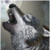 Avatar de Wolfskleriker