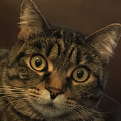 Avatar for aggtwentythree
