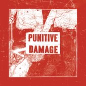 Punitive Damage - Strike Back.jpg