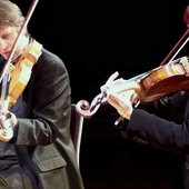 salomonquartet1.jpg