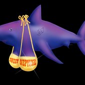 Sweet Neptune Shark