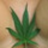 Love_Weed için avatar