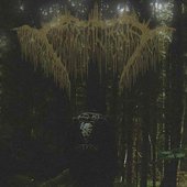 Irradiant Temporality