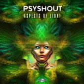 Aspects of Light