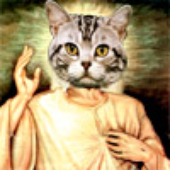 Avatar for elltho