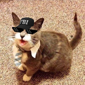 Butterkatze_ 的头像