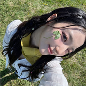 filosmind 的头像