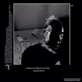 Nigga in Sheeps Clothin [Explicit]