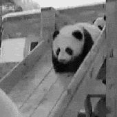 krewprawdziwa 的头像