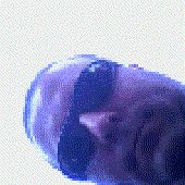 Avatar for mal2478