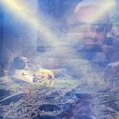 Gomez l'Opéra Rock [Explicit]