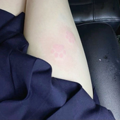 luvleyk 的头像